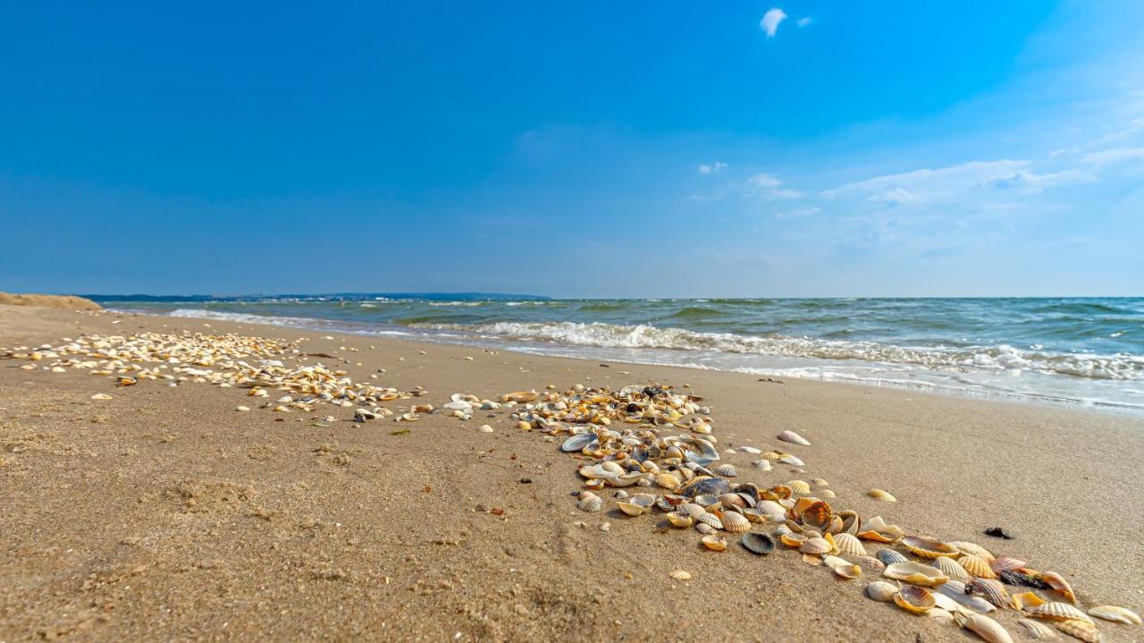 Strandurlaub Ruegen "Luett Matten" Apartment บินซ์ ภายนอก รูปภาพ
